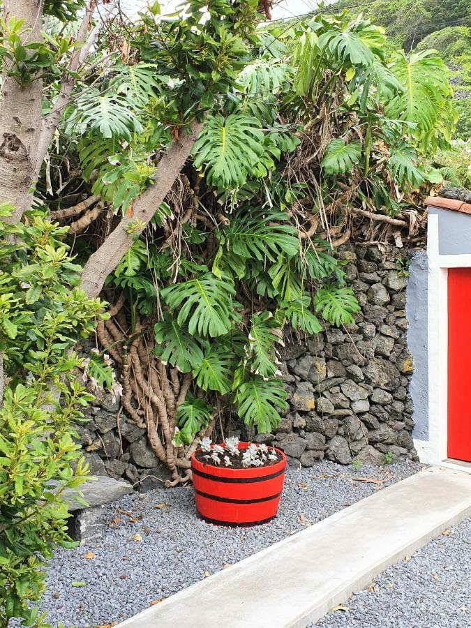 Вилла Casinha De Nesquim Calheta de Nesquim Экстерьер фото