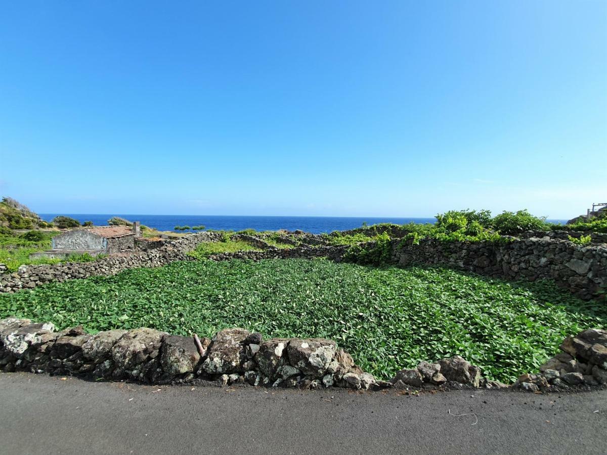 Вилла Casinha De Nesquim Calheta de Nesquim Экстерьер фото